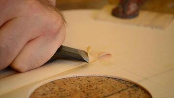 Luthier working with chisel in close up video