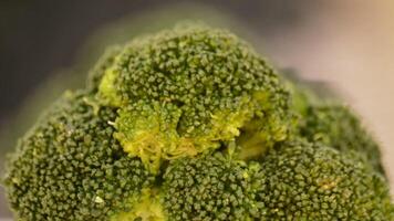 Broccoli gyrating in loop video