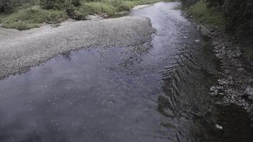 Beautiful summer landscape with green forest and narrow river with stony bottom. Stock footage. Top view of flowing cold stream with transparent water, stony shore and green trees. photo