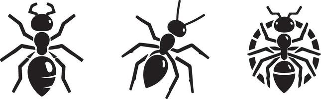 Three black and white insects with different shapes vector