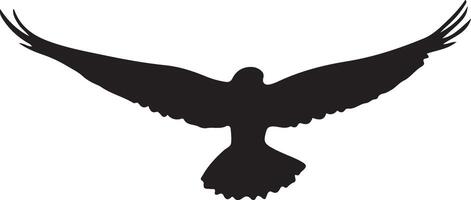Bird soaring in the sky, flying creature imagery, avian flight design, bird in motion, skybound bird illustration vector