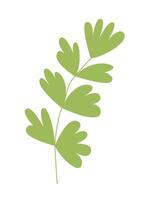 Branch with leaves illustration vector