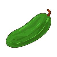 Illustration of cucumber vector