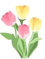A bouquet of tulips is shown on a white background vector