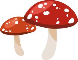 Two red mushrooms on a white background vector
