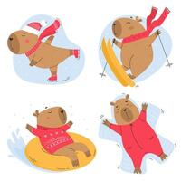 Funny capybaras set in winter activity vector