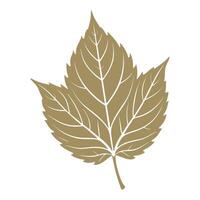 Grape leaf silhouette on white background. Autumn design element. Flat style illustration vector