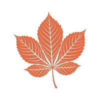 Chestnut tree leaf silhouette on white background. Autumn design element. vector