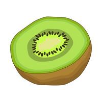 illustration of kiwi vector