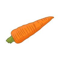illustration of carrot vector
