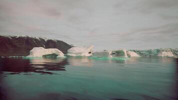 Icebergs floating calmly in pristine waters near a rugged coastal landscape video