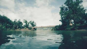 Calm river view with a wooden bridge surrounded by lush trees in daylight video