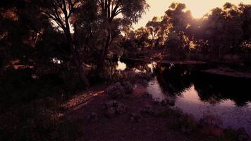 Serene riverside landscape at dusk with trees reflected in calm waters video