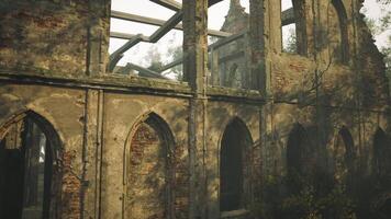 Abandoned stone structure overgrown with vegetation in a misty forest video