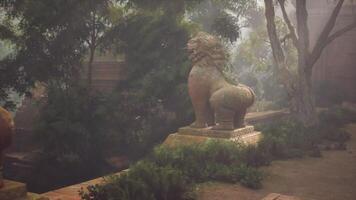 Ancient stone lion guarding a temple in the dense jungle of Vietnam at dawn video