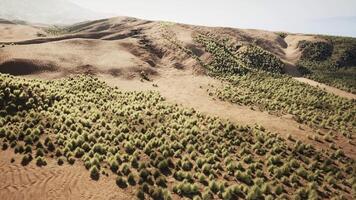 Desert landscape with low bushes between mountains under clear sky video