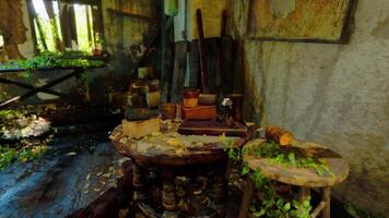 Abandoned room with a wooden table covered in foliage and forgotten objects video
