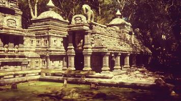 Explore the ancient temple ruins in Cambodia surrounded by lush greenery video