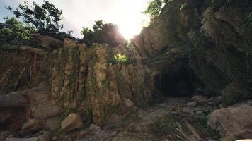 Sunlight filtering through trees at the entrance of a cave in Indonesia video