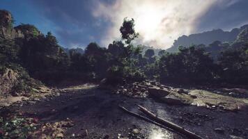 Sunlight breaks through the trees in a serene landscape of Laos video