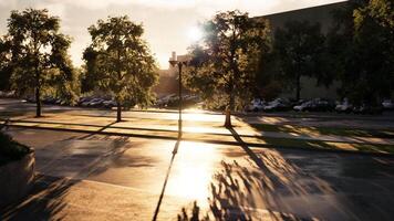 Sunset illuminating a quiet street lined with trees and parked cars video