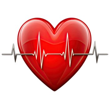 en röd, tredimensionell hjärta med en vit hjärtslag Vinka löpning genom de mitten av den på en transparent bakgrund. png