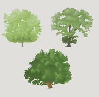 three collections of tree illustrations. in a grayish white background vector