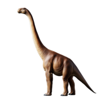 Brachiosaurus walking with its long neck extended forward, on a transparent background png