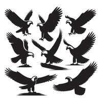 Assortment of eagle outlines on a white canvas vector