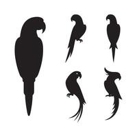 Collection of parrot forms vector