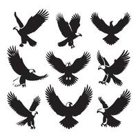 Collection of eagle forms on a white background vector
