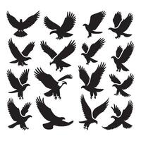 Eagle shapes outlined on a simple white backdrop vector