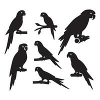 Range of parrot outlines vector