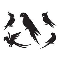 Ensemble of parrot shadows vector
