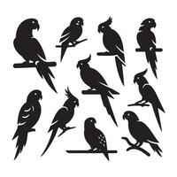 Set of parrot shadows vector