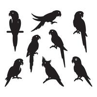 Set of parrot forms vector