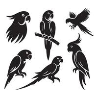 Set of parrot shapes vector