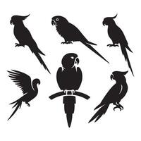 Set of parrot forms vector
