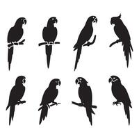 Compilation of parrot outlines vector