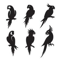 Array of parrot profiles vector