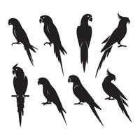 Ensemble of parrot shapes vector