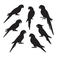 Assortment of parrot figures vector