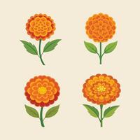 a set of marigold illustration vector