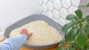 Close-up of a womans hand leveling a filler in granules in a triangular plastic tray for animals. video