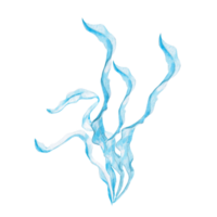 Seaweed in watercolor. Isolated monochrome illustration of sea plants for marine themed event design, textile design, printing, children's parties png