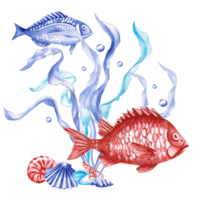 Seaweed composition with shells, red and blue fish in watercolor. Isolated monochrome illustration of sea creatures for marine themed event design, textile design, print, children's parties png