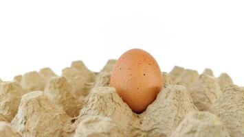 Chicken eggs, closeup, Fresh raw eggs ready for cooking for food background photo