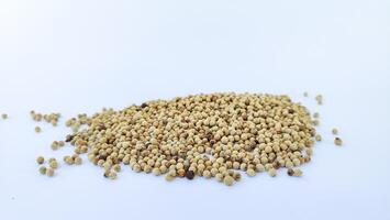 Aromatic spices. Pile of different peppers isolated on white photo