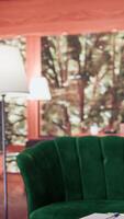 Luxurious comfortable therapy office used for counseling sessions and sincere discussions to help with mental health issues. Empty high end modern psychotherapy safe space with plants. video