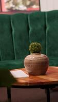 Empty high end psychotherapy cabinet equipped with modern furniture and plants, creating a cozy atmosphere for clients to open up. Professional counseling and psychiatry office. video